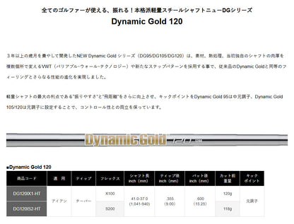 【シャフトカスタム】スリクソン ZXi5 RKT【Dynamic Gold 120】（5～PW）6本セット
