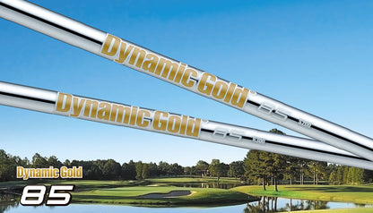【シャフトカスタム】スリクソン ZXi5 RKT【Dynamic Gold 85】（5～PW）6本セット