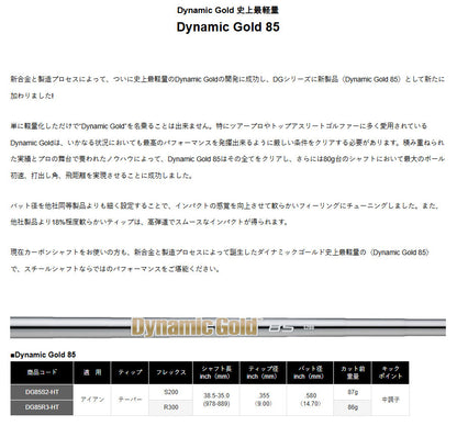 【シャフトカスタム】スリクソン ZXi7 RKT【Dynamic Gold 85】（5～PW）6本セット